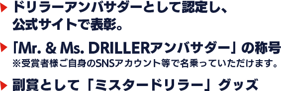 ・ドリラーグッズ ・ドリラーアンバサダーとしてMr. & Ms. DRILLERの称号 ・体験版の先行プレイ権
